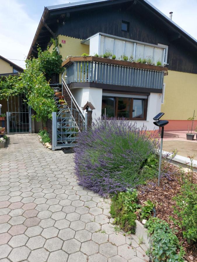Apartma Reich Lejlighed Ptuj Eksteriør billede